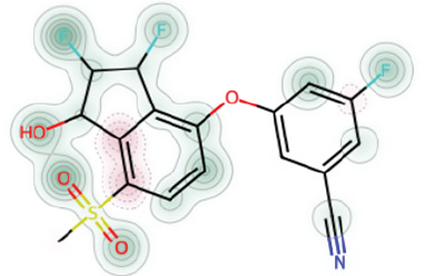 以相互连接的原子和官能团为特征的化学结构插图。主结构以黑色勾勒，红色、蓝色和黄色元素分别表示特定的官能团，如羟基（OH）和磺酰基（SO）。