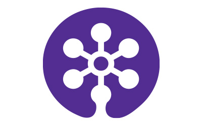 星形图标，象征与 SYNTHIA™ 软件相关的新理念。