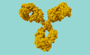 A 3D illustration of a monoclonal antibody.