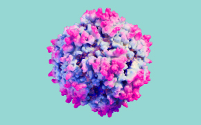 A 3D illustration of a viral vector.