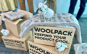 Cooler insulation made of wool