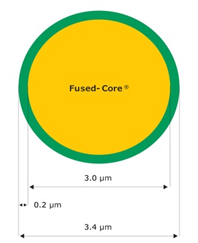 A cross-section of a particle shows a 5 µm diameter with a 4.6 µm solid core and a 0.2 µm porous shell, labeled as Fused-Core.