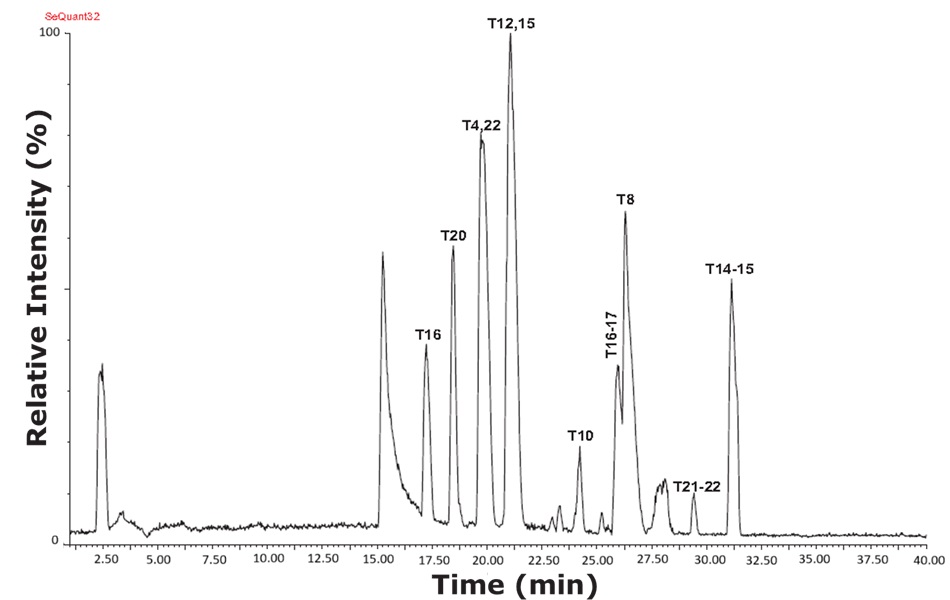 A base peak chromatogram of tryptic peptides derived from digested cytochrome C, with relative intensity on the vertical axis ranging from 0 to 100 percent and time on the horizontal axis spanning 2.5 to 40 minutes. The chromatogram shows numerous sharp, well-defined peaks indicating distinct peptide components. Notable peaks are labeled with identifiers such as T4, T8, T10, T12, T14, T15, T16, T20, T21, and T22. The most prominent peak, T12, co-eluting with T15, appears around 22 minutes and reaches the highest intensity. Additional peaks, such as T4 and T22 near 20.5 minutes, and T8 around 27 minutes, demonstrate effective separation. The overall pattern reveals a rich peptide profile with several close-eluting and highly resolved peaks, showcasing the column's high resolution and selectivity in separating peptides under hydrophilic interaction liquid chromatography conditions.