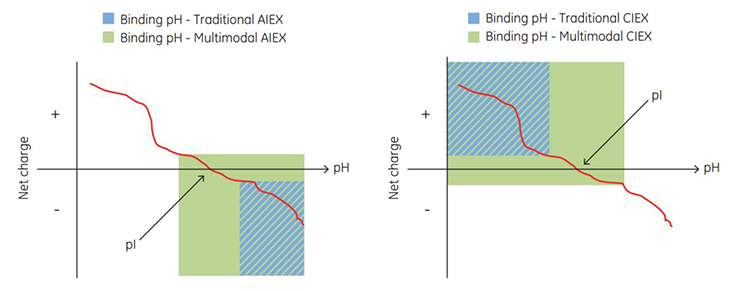 Net charge of a protein vs pH