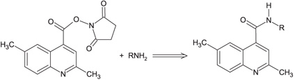 A chemical reaction diagram showing the conversion of a compound on the left, which contains a fused ring structure with nitrogen (N) and oxygen (O) atoms, into a product on the right. The reaction involves the addition of an amine (RNH₂), resulting in a new compound with an amine group (NH) attached to the ring structure. The molecular structures are depicted with their respective chemical groups labeled.