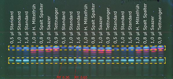 Figure 1a: Detection of aromatic hop at 366 nm