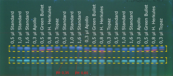 Figure 1c: Detection of bitter hop at 366 nm