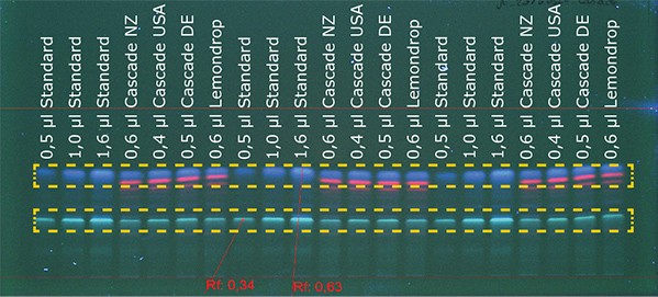 Figure 1b: Detection of cascade hop at 366 nm