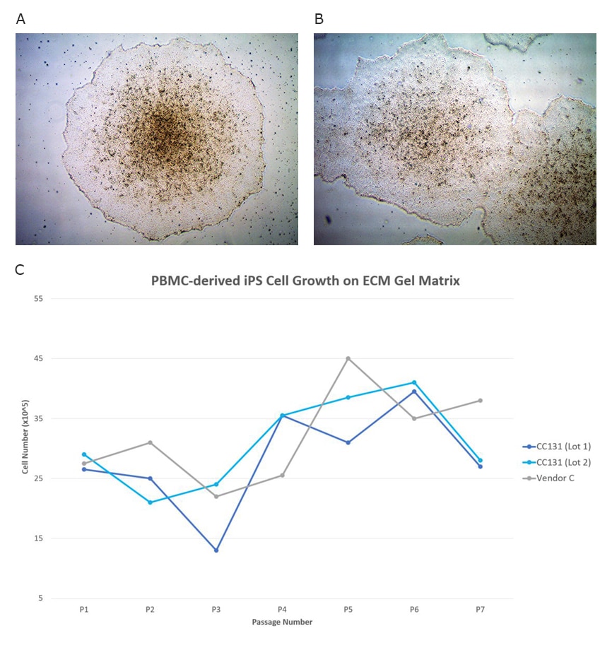 PBMC derived iPS cell growth PBMC derived iPS cell growth