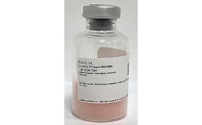 Lyo ECM Gel lyophilized bottle Alt text: A glass bottle of the lyophilized ECM gel halfway filled with the lyophilized product.