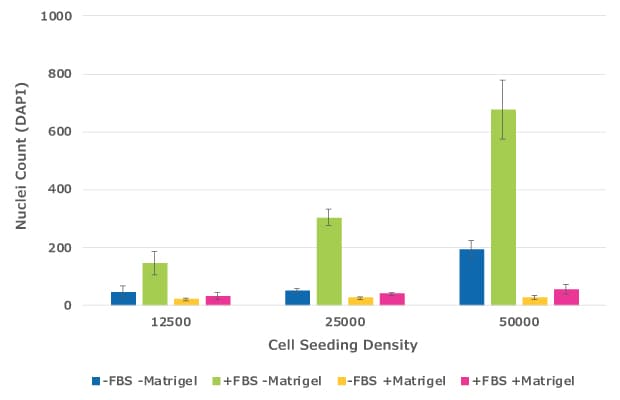 Quantification of migrated cells in cell culture inserts