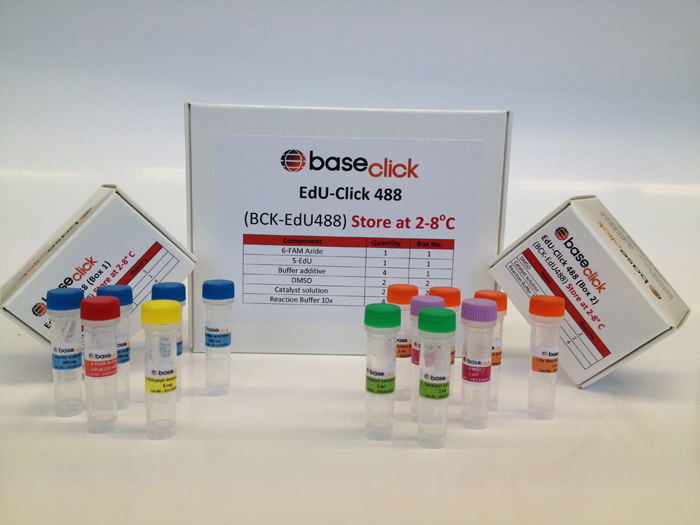 Base Click EdU-Click 488 Kit