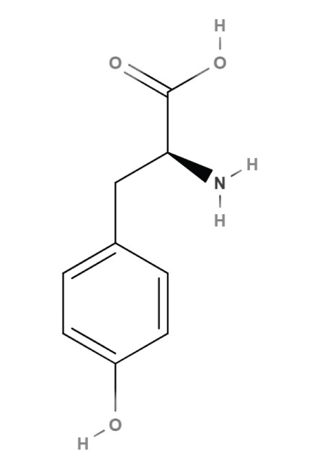 L-tyrosine chemical structure Keywords: L-tyrosine, tyrosine, amino acids