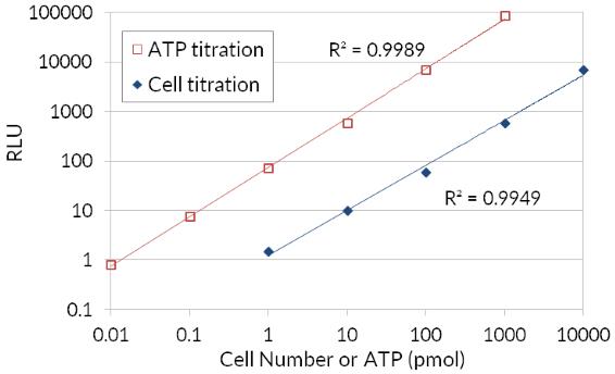 Bioluminescent ATP luciferase cell viability assay graph