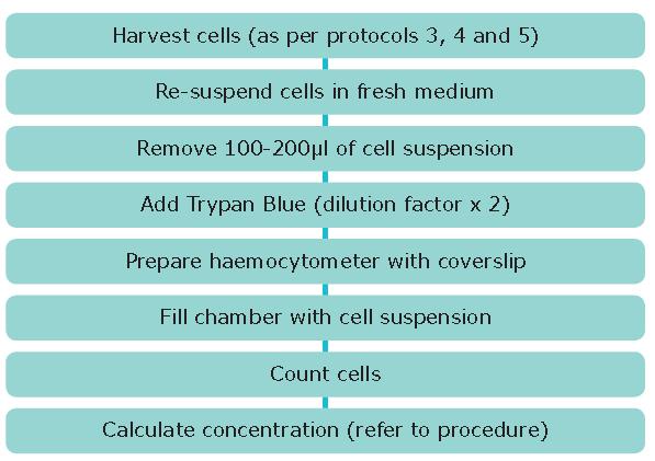 细胞培养实验方案6：使用血细胞计数器进行细胞计数