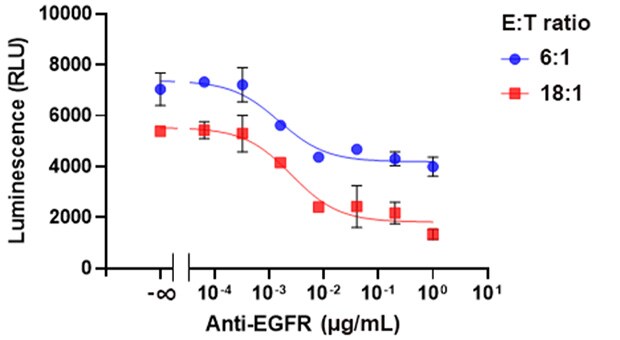 ADCC assay using BioIVT NK effector cells