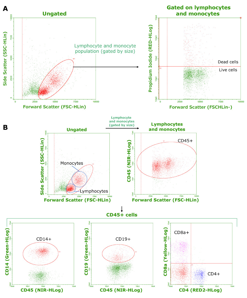 Characterization of cryopreserved PBMCs.
