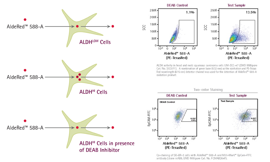 AldeRed 588-A Deab Control