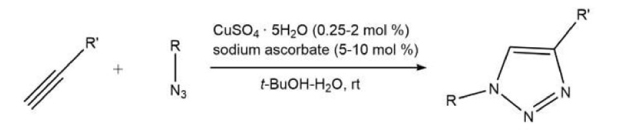 Reaction scheme shows Cu-catalyzed azide–alkyne cycloaddition forming a 1,4-disubstituted triazole in t-BuOH/H₂O with CuSO₄ and sodium ascorbate.