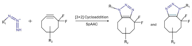 Strain-promoted azide–alkyne cycloaddition (SpAAC) between a blue azide and fluorinated cycloalkyne yields bicyclic triazole products with R₁/R₂ groups.
