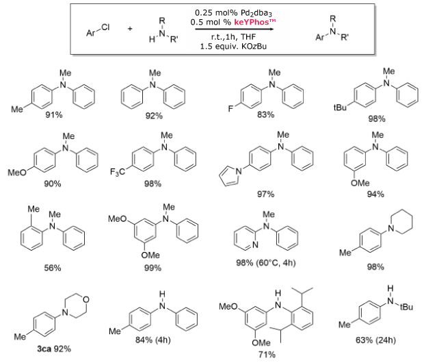 Black and white image displays a reaction scheme using keYPhos™ and Pd₂dba₃ for C–N coupling, with 20 diverse aryl amine products and their yields.