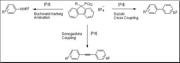 Cross-coupling Reactions