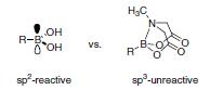 Comparison of sp2 and sp3-hybridized boron species