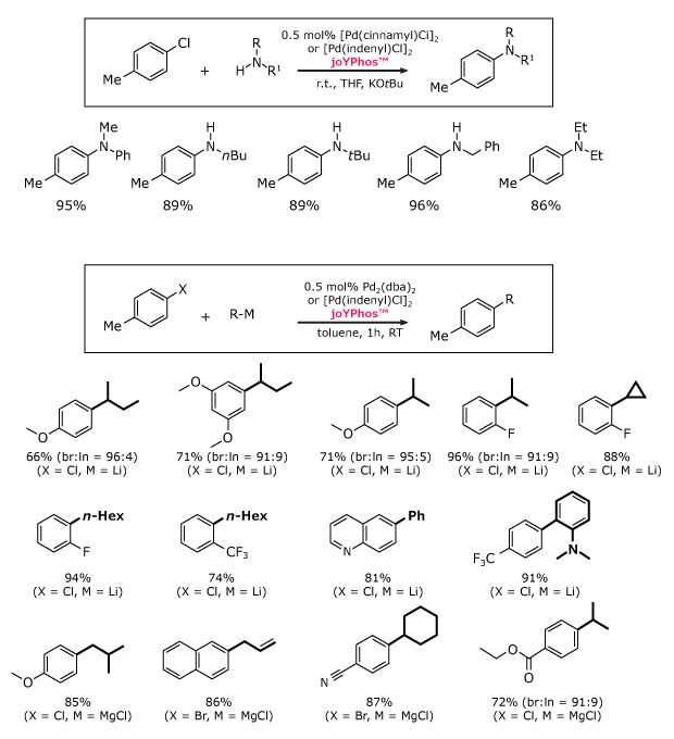 Black and white image shows two joYPhos™-catalyzed reactions—one for amination, one for C–C coupling—each with products and yields from various substrates.