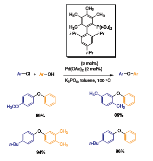 synthesized ligand
