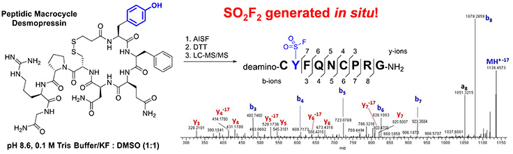 AISF can be applied to peptide functionalization