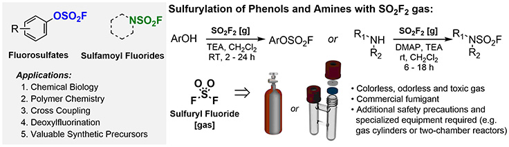 Sulfurylation of Phenols and Amines
