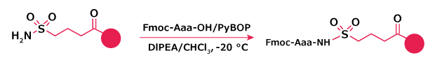 Reaction scheme showing activation of the sulfamyl linker and coupling of an amino acid to form the aminoacyl‑sulfamyl resin.