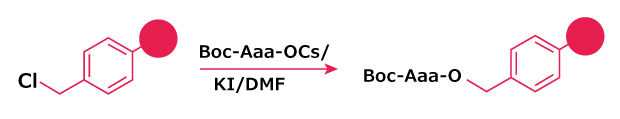 Procedure showing Boc‑amino acid conversion to its cesium salt, resin pre‑swelling, and coupling to Merrifield resin in DMF at 50 °C with optional KI catalyst.