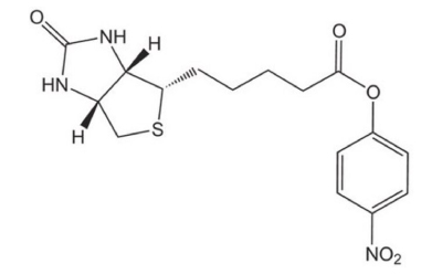Black-and-white structure of biotin-ONp featuring a bicyclic core connected to a para-nitrophenyl group with a nitro substituent via a carbon chain.