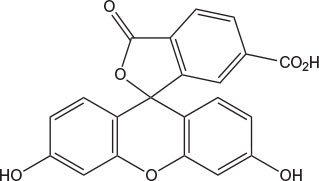 Chemical structure of 6-Carboxyfluorescein