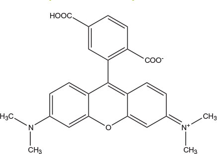 Chemical structure of 6-Carboxytetramethylrhodamine