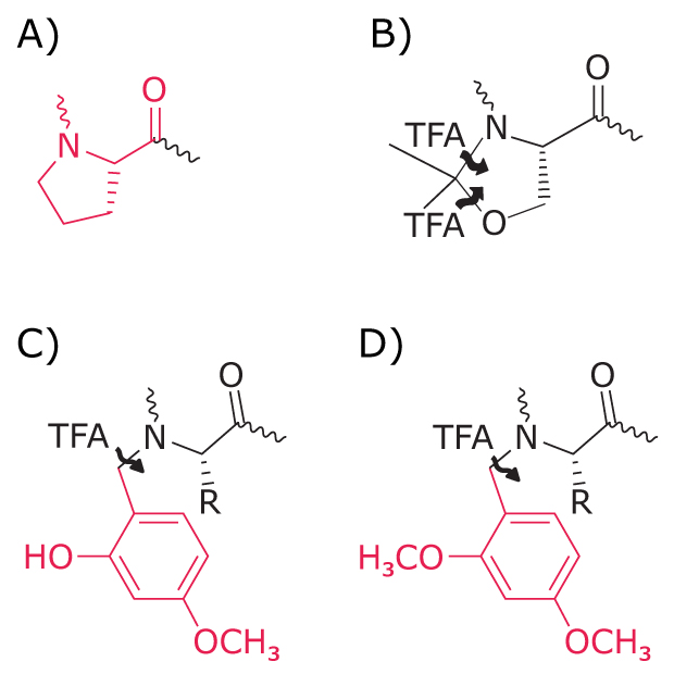 Diagram showing N‑alkyl amino acid structures used as secondary amino acid surrogates to disrupt peptide secondary structure.