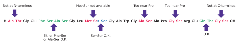 Workflow diagram illustrating where to insert amino acid surrogates within a peptide sequence to prevent on‑resin aggregation.