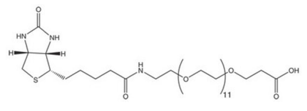 Black-and-white structure of N-Biotinyl-NH-PEG11-COOH showing bicyclic biotin core linked to an 11-unit PEG chain ending with a carboxylic acid group.