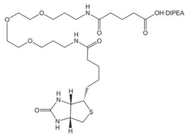 Black-and-white structure of N-Biotinyl-NH-(PEG)₂-COOH showing bicyclic biotin core linked to PEG chain with amines and terminal carboxylic acid group.