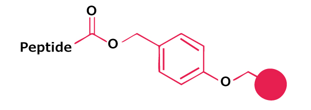 Chemical structure of a benzyl ester linker attaching a peptide to a solid support in Fmoc solid-phase peptide synthesis.