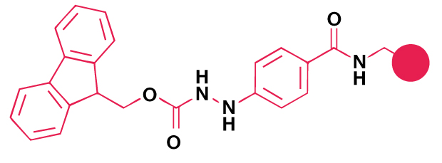 Chemical structure of a dimethoxy-substituted aryl amide linker used for peptide attachment in Fmoc solid-phase peptide synthesis.