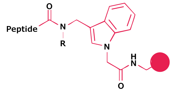 Chemical structure of a dimethoxy-substituted aryl amide linker used for peptide attachment in Fmoc solid-phase peptide synthesis.