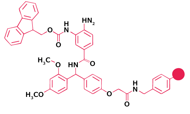 Chemical structure of a dimethoxy-substituted aryl amide linker used for peptide attachment in Fmoc solid-phase peptide synthesis.