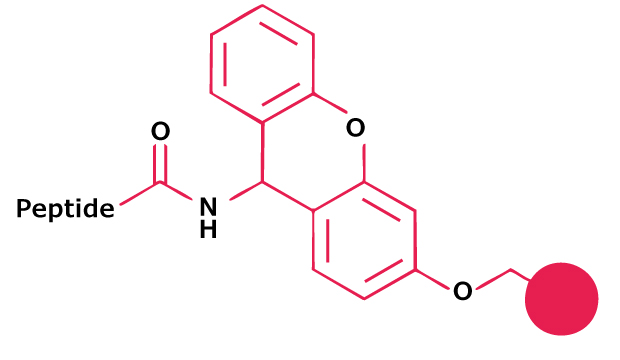 Chemical structure of a dimethoxy-substituted aryl amide linker used for peptide attachment in Fmoc solid-phase peptide synthesis.
