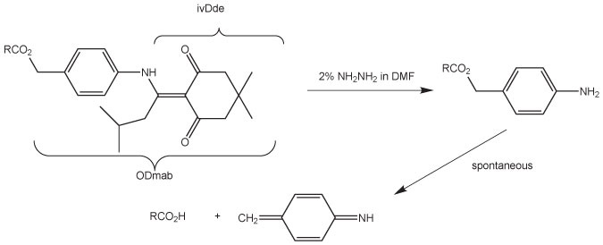 A chemical reaction diagram showing the conversion of a compound using 2% hydrazine in DMF to form an amine product.