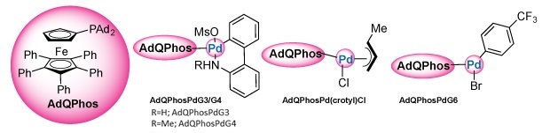 The structure of the bulky biaryl phosphine ligand AdQPhos and its coordination to various palladium precatalysts. On the far left, AdQPhos is shown in a large circular highlight, featuring a ferrocene core with two cyclopentadienyl rings. One of the rings is substituted with multiple phenyl groups and a diphosphine side chain, including two bulky adamantyl groups. Moving to the right, three different palladium complexes are illustrated, each coordinated with the AdQPhos ligand. In the first complex, labeled AdQPhosPdG3/G4. In the second structure, labeled AdQPhosPd(crotyl)Cl, the palladium is bonded to a crotyl group and a chloride, forming an allylic complex. In the third structure, labeled AdQPhosPdG6, palladium is coordinated with a bromide and a trifluoromethylated phenyl moiety. In all complexes, the AdQPhos ligand and palladium centers are highlighted with pink ovals, and the Pd atoms themselves are colored blue, emphasizing their central catalytic role.