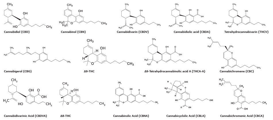 Chemical structures of fourteen cannabinoids used in the study to analyze cannabinoids in cannabis 