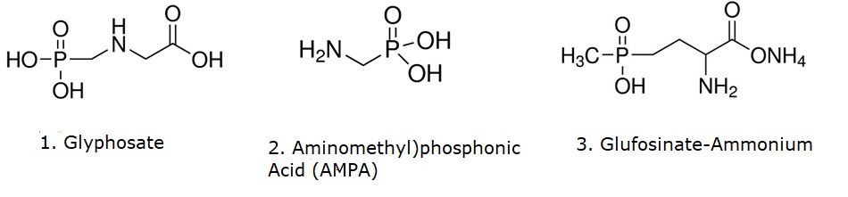 Chemical structures of Glyphosate (left), (aminomethyl)phosphonic acid (AMPA) (middle) and glufosinate-ammonium (right)
