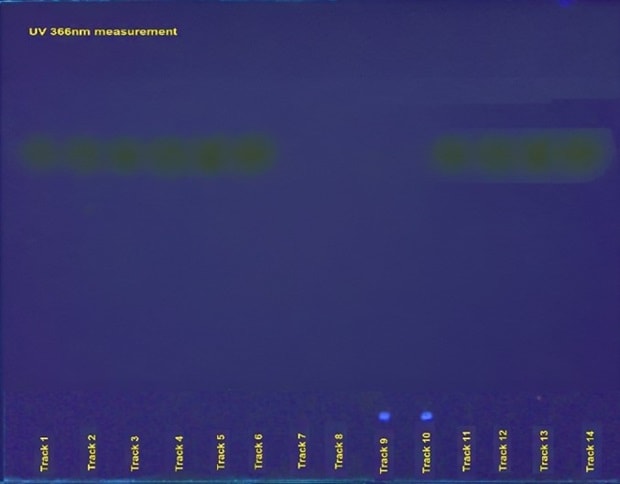HPTLC plate for urea under UV light at 366 nm HPTLC plate viewed under UV light at 366 nm showing fluorescent spots in a blue background obtained for the identification of urea in milk